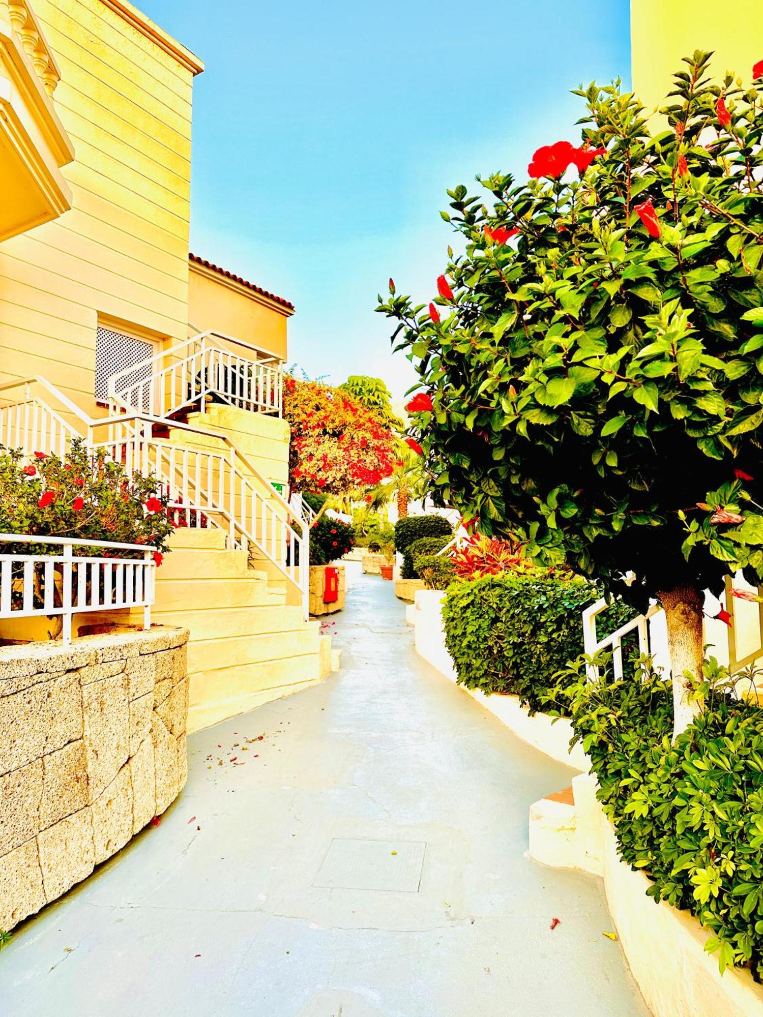 Luxury Villa Fanabe With Private Garden Costa Adeje  Buitenkant foto